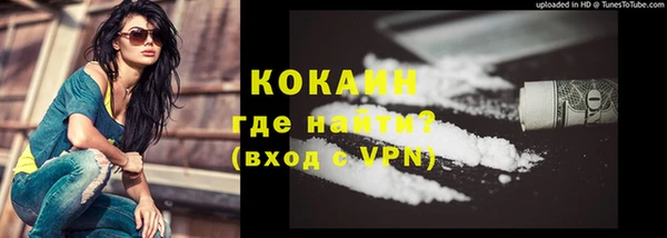 mdpv Богородск