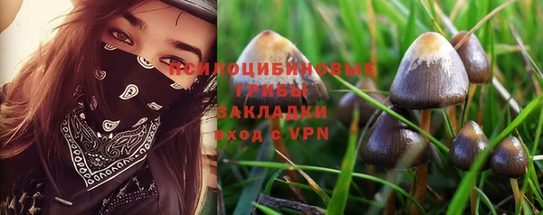 прущая мука Богданович