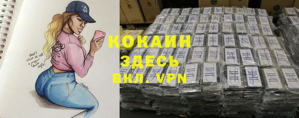 mdpv Богородск