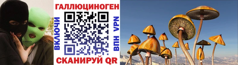 Псилоцибиновые грибы мухоморы  цены   kraken ONION  Можайск 
